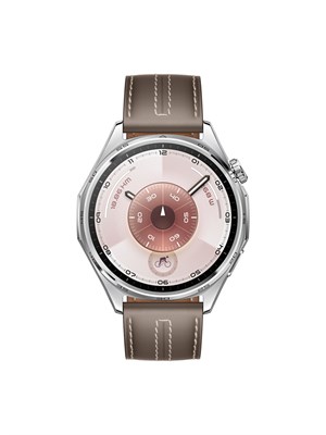 Смарт-часы HUAWEI WATCH GT 6 с диаметром 46 мм в сером цвете 1000026432