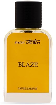 Парфюмерная вода Blaze Eau De Parfum от Mon Destin, 100 мл, для мужчин и женщин (вдохновлена ??ароматом Silver Shadow) 1000028913