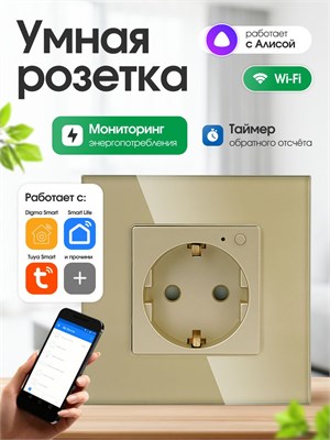 Встроенная умная розетка с WiFi, под названием FUJIHOME TW-WF1F-BK(CS), совместима с голосовым помощником Алиса и приложением Smartlife. Она также оснащена функцией мониторинга энергопотребления, таймером и имеет золотой цвет 1000032412