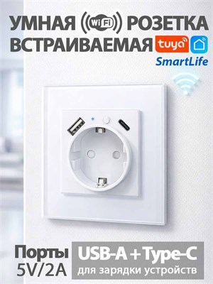 Розетка TY-201 Smart Life для умного дома, подключаемая к WiFi с напряжением 220 В 1000032417