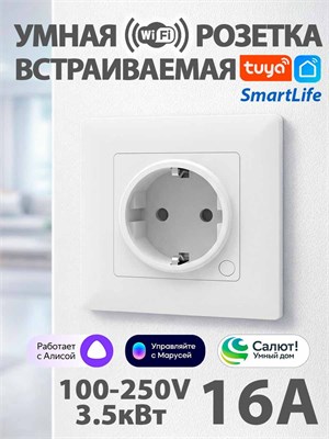 Умная розетка с Wi-Fi подключением, функцией заземления, способная выдерживать до 16А нагрузки и обеспечивать мощность до 3.52 кВт, с возможностью контроля энергопотребления через приложение Алиса/Smart Life. Устройство предназначено для встраивания 1000032425