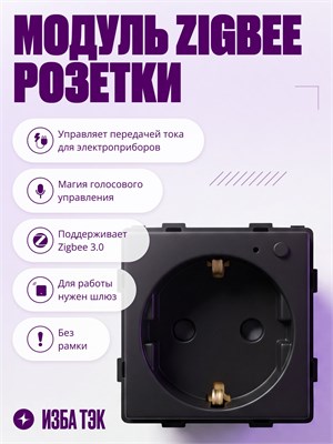 Черная умная розетка Zigbee с заземлением и шторками, модуль без рамки, способная выдерживать до 16А электрического тока 1000032463