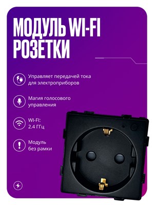 Устройство для подключения к электрической сети посредством WIFI, без рамки, с заземлением и защитными крышками, с максимальной нагрузкой 16 ампер, цвет - черный 1000032487