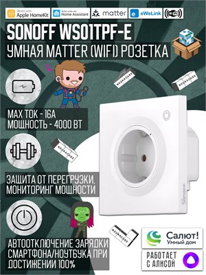 Розетка SONOFF WS01TPF-E с максимальным током 16А поддерживает работу с голосовым помощником Алисой по Wi-Fi 1000032497