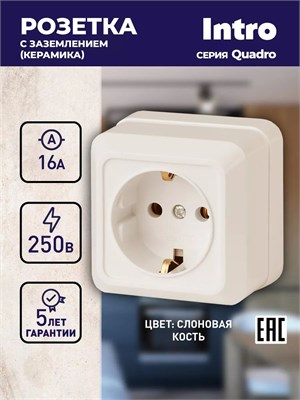 Розетка Intro Quadro 2-202-02 с заземлением 2P+E Schuko 16А-250В IP20 предназначена для открытой установки и имеет цвет слоновой кости 1000032592