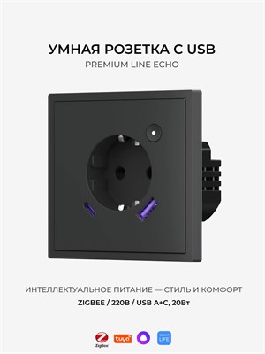 Умная розетка Zigbee в черном матовом цвете с возможностью подключения USB 1000032593