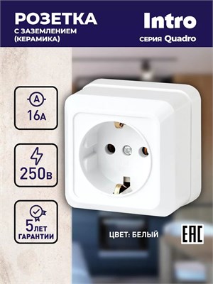 Розетка Intro Quadro 2-202-01 белого цвета с заземлением 2P+E Schuko 16А-250В для открытой установки с защитой от пыли IP20 1000032603