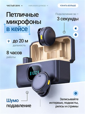 У нас есть два беспроводных петличных микрофона с шумоподавлением, которые подходят для использования с iPhone 1000033719
