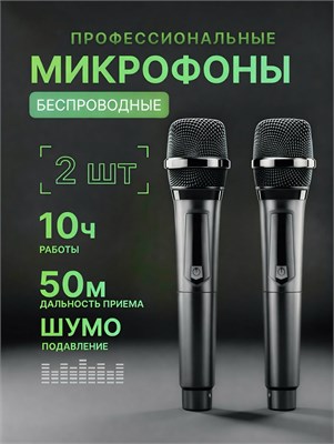 Два беспроводных микрофона для караоке 1000033764