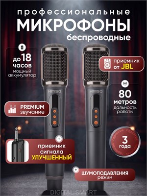 Два микрофона караоке / беспроводной микрофон / микрофон для пения с LED-дисплеем 1000033780