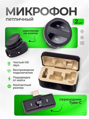 У нас есть два петличных микрофона с функцией шумоподавления 1000033972