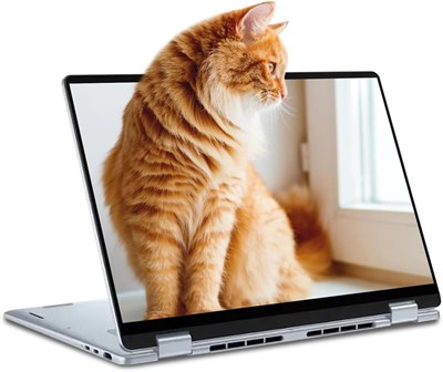 Dell 16 Plus 2-в-1, 16-дюймовый сенсорный экран 2K FHD+, процессор Intel Core Ultra 7 256V, 16 ГБ ОЗУ, SSD 1 ТБ, графика Intel Arc Graphics, клавиатура с подсветкой, Windows 11 Pro с Copilot, бесплатный Office 365 1000034710