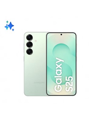 Samsung Galaxy S25 Dual SIM Mint 12GB RAM 256GB 5G - Международная версия 1000035237