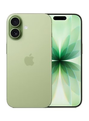 Apple iPhone 17 256 ГБ (только eSIM) Sage 5G с FaceTime — глобальная версия 1000035274