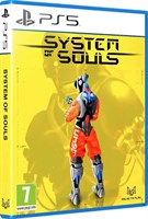 System of Souls 6315