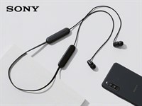 Наушники Sony W1-C100 Black 6893