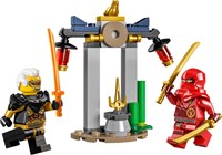 LEGO® Ninjago® 30650 Поединок Кайса и Раптона в храме 1000000403