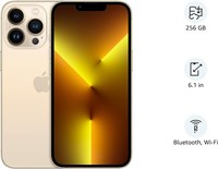 Apple (восстановленный) iPhone 13 Pro (256 ГБ) — золотой 1000005998