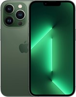 Apple iPhone 13 Pro (256 ГБ) — Alpine Green (обновлённый) 1000006004