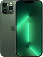 Apple iPhone 13 Pro Max (512 ГБ) — Alpine Green (обновлённый) 1000006024