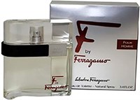 Salvatore Ferragamo F Pour Homme для мужчин -Туалетная вода, 100 мл- 1000010355