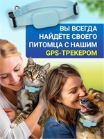 Ошейник для домашних животных с встроенным GPS трекером. Ошейник окрашен в голубой цвет 1000024697