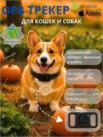 GPS - это устройство для отслеживания местоположения собак и кошек, которое помогает в поиске потерянного питомца. 1000024806