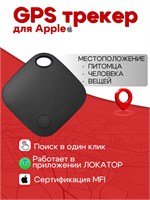 GPS устройство для использования с устройствами iOS. 1000024863