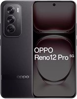 Oppo Reno 12 Pro 5G доступен в цвете Space Brown с внутренней памятью 512 ГБ и 12 ГБ оперативной памяти 1000027009
