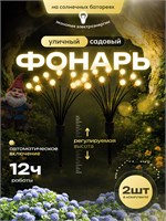 Комплект из двух садовых уличных фонарей с LED светильником, работающим на солнечных батареях, предназначенный для освещения сада и улицы. Фонари водонепроницаемые и содержат 20 лампочек 1000030499