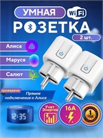 2 штуки умных розеток DAIMA с током 16А 1000032347
