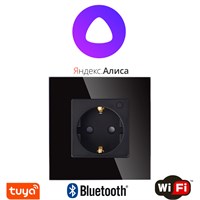 Устройство для управления электрическими приборами по Wi-Fi с возможностью голосового управления через Алису, имеющее функцию таймера и защитные шторки, помещенное в корпус из металла с закаленным стеклом 1000032380