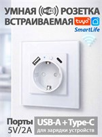 Розетка TY-201 Smart Life для умного дома, подключаемая к WiFi с напряжением 220 В 1000032417