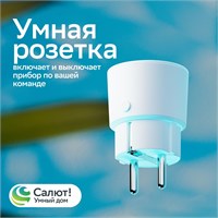 Умная розетка Sber SBDV-00123W доступна в белом цвете 1000032443