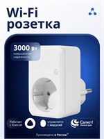 Eltex SW-PLG01 - умная розетка с поддержкой WIFI, совместимая с Алисой, Марусей и Салютом, работает от напряжения 230 Вольт 1000032444
