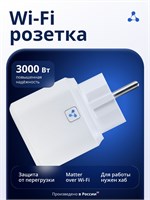 Розетка Eltex SW-PLG12 с поддержкой управления через WI-FI и голосовых помощников Алиса, Маруся и Салют, работает при напряжении 230 Вольт 1000032449