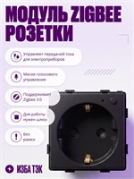 Черная умная розетка Zigbee с заземлением и шторками, модуль без рамки, способная выдерживать до 16А электрического тока 1000032463
