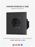 Умная розетка Zigbee в черном матовом цвете с возможностью подключения USB 1000032593