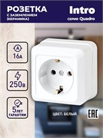 Розетка Intro Quadro 2-202-01 белого цвета с заземлением 2P+E Schuko 16А-250В для открытой установки с защитой от пыли IP20 1000032603