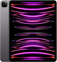Apple (восстановленный) iPad Pro 12,9 дюйма 2022 года выпуска (Wi-Fi, 256 ГБ) — цвет «космический серый» (6-го поколения) 1000028576