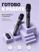 Для караоке предоставлены два беспроводных микрофона 1000033748