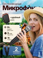Два беспроводных микрофона DASDORRIO для караоке 1000033755