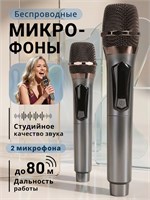 2 беспроводных микрофона для караоке 1000033778