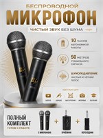 Два беспроводных микрофона караоке, предназначенных для вокала 1000033784