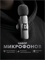 Два беспроводных петличных микрофона для телефона с разъемом USB Type C 1000033944