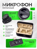 У нас есть два петличных микрофона с функцией шумоподавления 1000033972