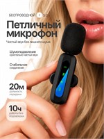 Беспроводной микрофон с функцией шумоподавления в виде петлички 1000034019