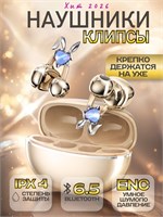 Бежевые беспроводные наушники с микрофоном, подключение по Bluetooth и USB Type-C 1000034861
