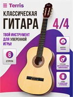 Классическая гитара TERRIS TC-3901A NA 4/4 1000037790
