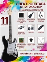 Электрогитара модели Стратокастер TERRIS TPACK-TST-040 BK в комплекте с комбоусилителем, содержит 11 предметов 1000037808